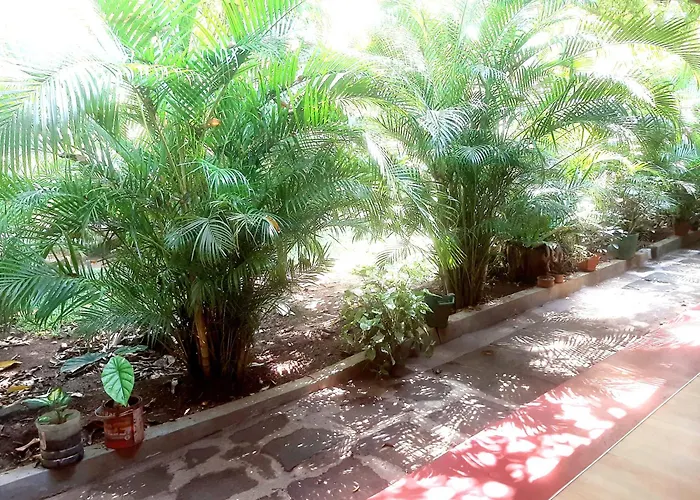 Palitha Homestay