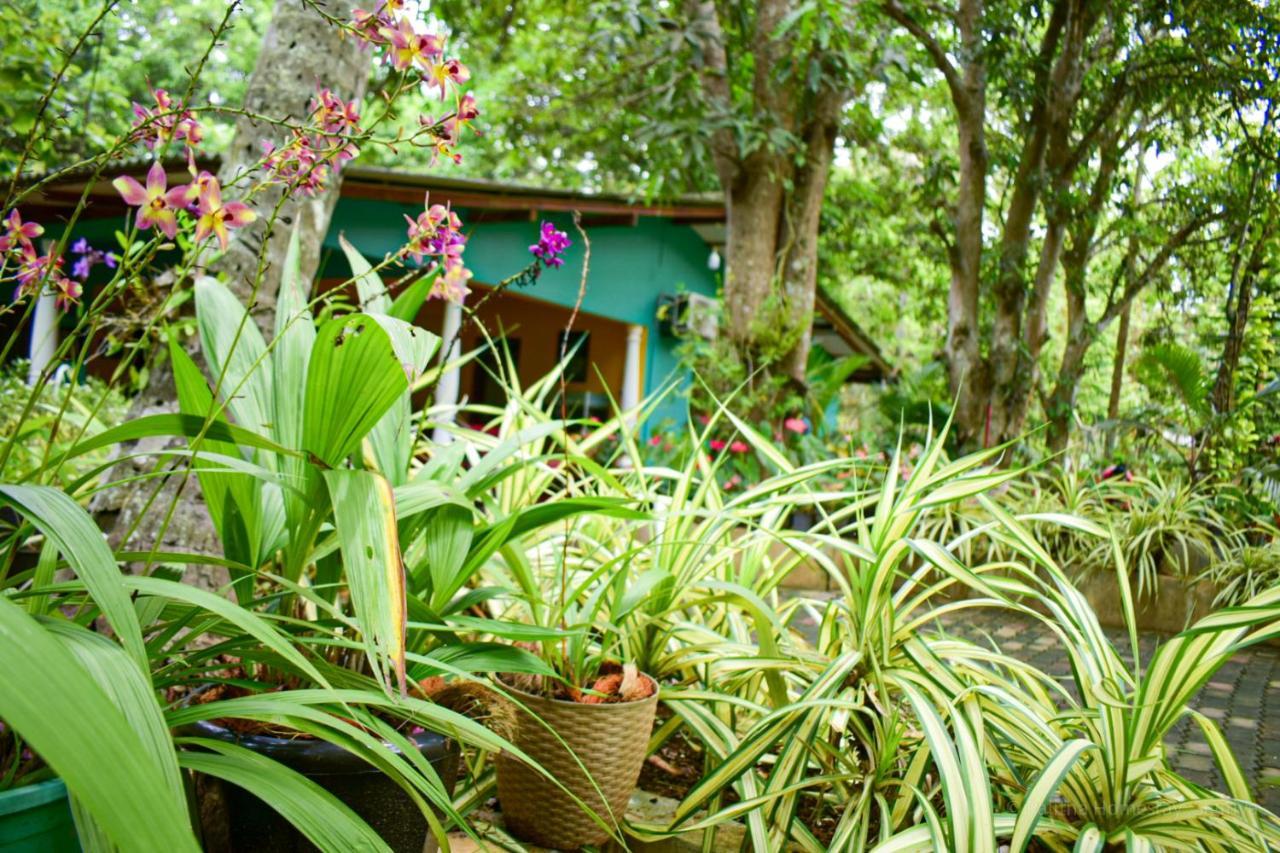 Palitha Homestay *