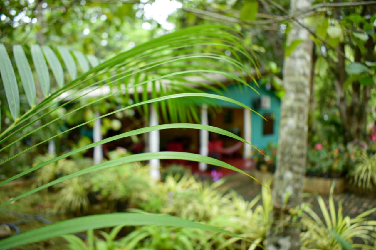 Palitha Homestay Sigiriya