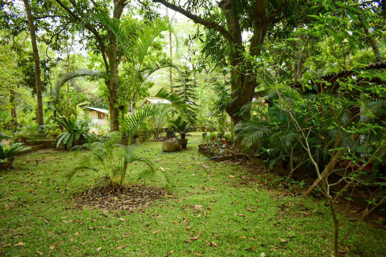Palitha Homestay Sigiriya