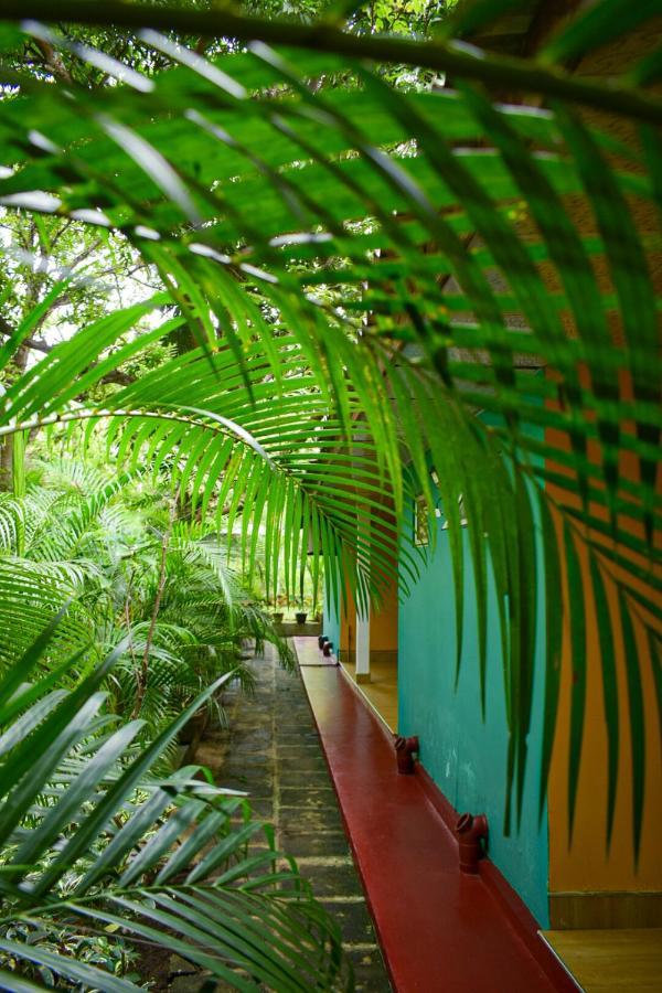 Palitha Homestay