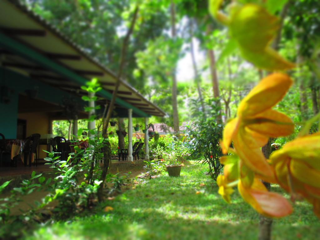 Palitha Homestay