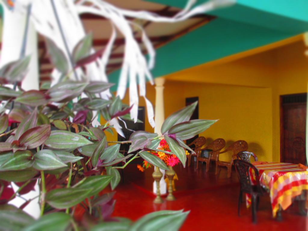 Homestay Palitha Sigiriya