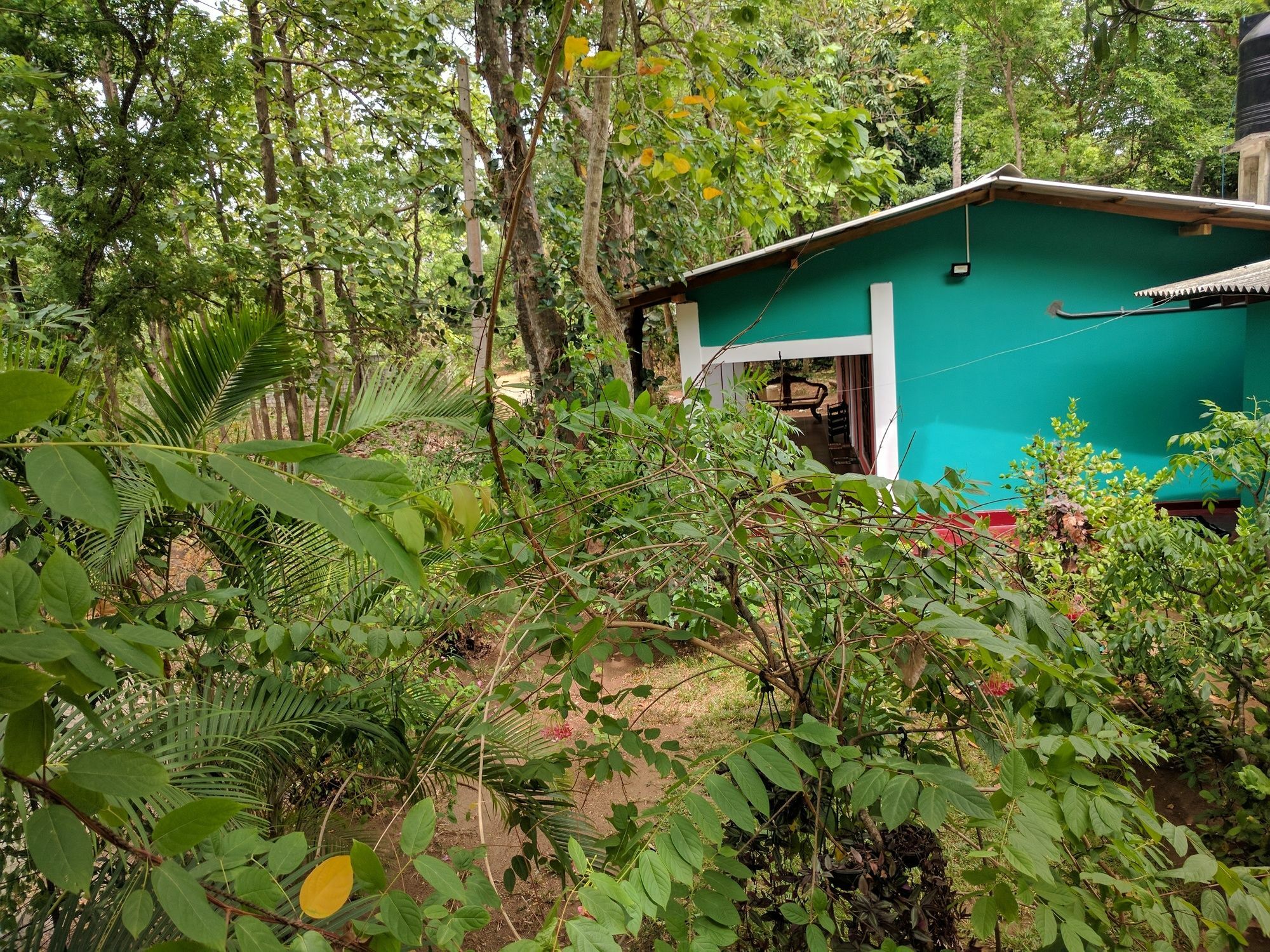 Homestay Palitha Sigiriya