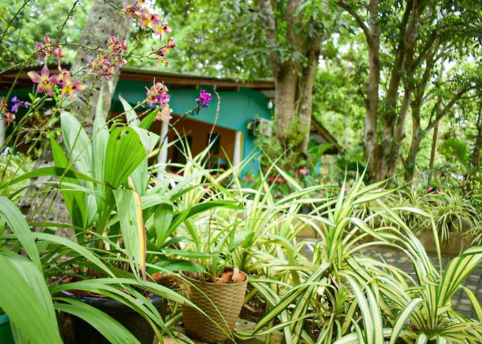 Palitha Homestay